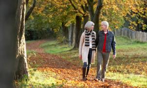Couple outdoors holding hands on a path in a park.