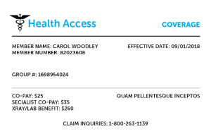 Private Insurance Example Health Access Card