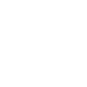 Icon Innovation